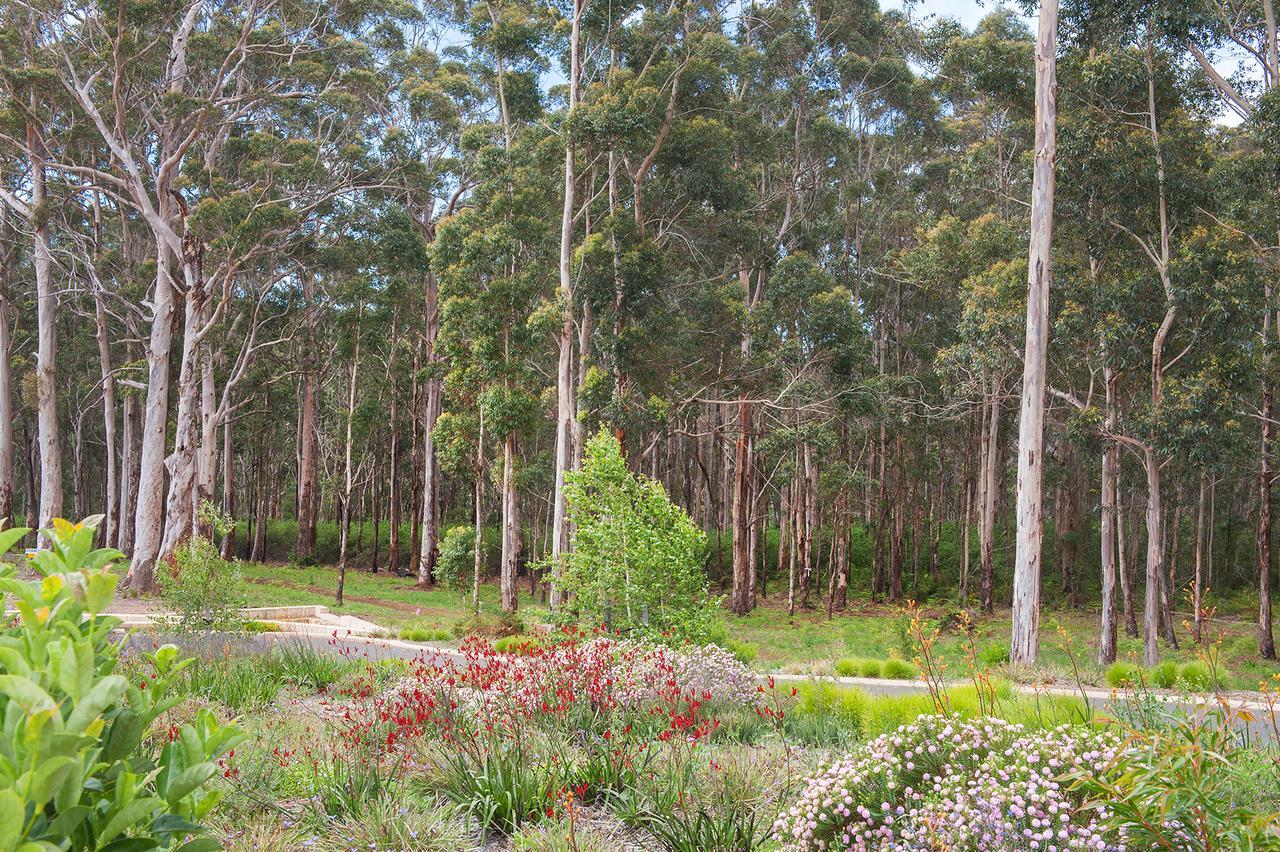 Chardonnay Studio Appartamento Margaret River Esterno foto